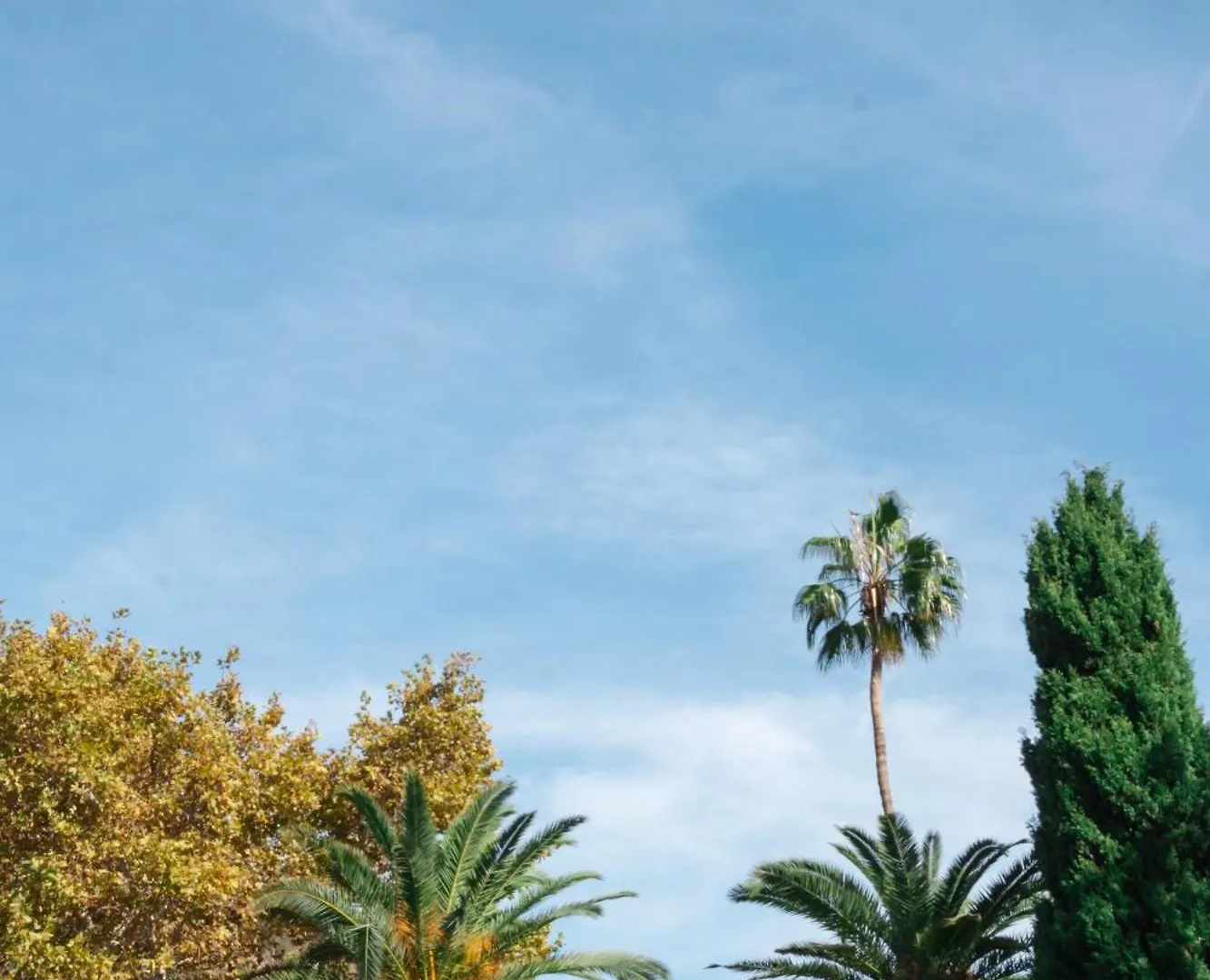 Larios Premium Apartments Malaga